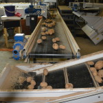 производство картофеля